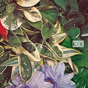 If Not Now, When? cover image cdn