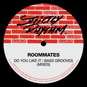 Do You Like It / Bass Grooves (Mixes) cover image cdn