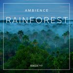 Ambience - Rainforest cover image cdn