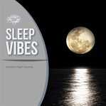 Sleep Vibes : Ambient Night Sounds cover image cdn