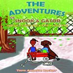 The Adventures of Snook and Gator: Snook's Cool Idea for a Hot Day cover image cdn