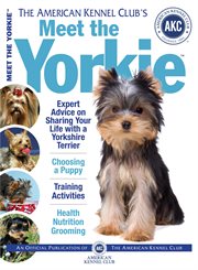 Meet the Yorkie cover image cdn