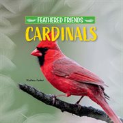Cardinals cover image cdn