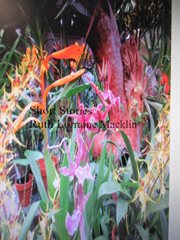 Short Stories cover image cdn