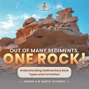Out of Many Sediments, One Rock! Understanding Sedimentary Rock Types and Formation Grade 6-8 Ea cover image cdn