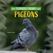 Pigeons cover image cdn
