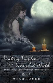 Healing Wisdom for a Wounded World: My Life-Changing Journey Through a Shamanic School (Book 1) cover image cdn