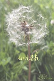 Wish cover image cdn
