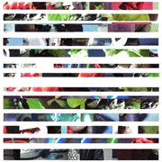 The Woods, Vol. 1 cover image cdn