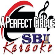 A Perfect Circle: Karaoke : Karaoke cover image cdn