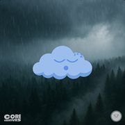 Rain Tonight cover image cdn