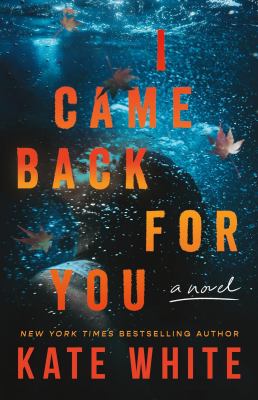 I Came Back for You cover image cdn