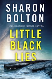 Little Black Lies cover image cdn