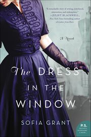 The Dress in the Window cover image cdn