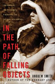 In the Path of Falling Objects cover image cdn