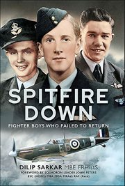 Spitfire Down : Fighter Boys Who Failed to Return cover image cdn