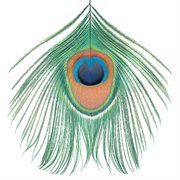 Apple Venus, Vol. 1 cover image cdn