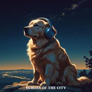 Echoes Of The City cover image cdn