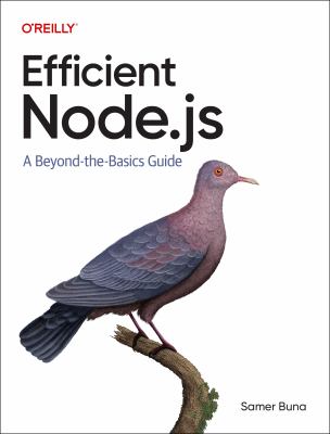 Efficient Node.js : a beyond-the-basics guide  cover image cdn