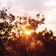 Classic Love (Ep) cover image cdn