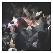 Light Drawings cover image cdn