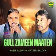 Gull Zameen Maaten cover image cdn