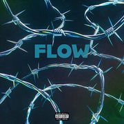 Flow cover image cdn