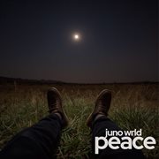 Peace cover image cdn