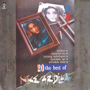 20 Best Of Nike Ardilla cover image cdn