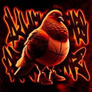 Dunkolino Piccione Funk cover image cdn