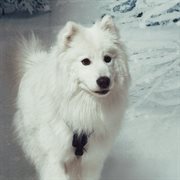 Forever 21 (Vol.2) cover image cdn