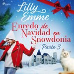 Enredo de Navidad en Snowdonia - Parte 3 cover image cdn