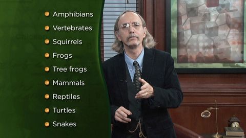 The Philosopher’s Toolkit. Episode 4 Visualizing Concepts and Propositions cover image cdn