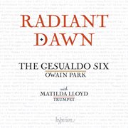 Radiant Dawn cover image cdn