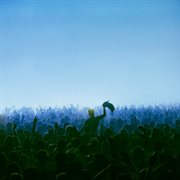 Union cover image cdn