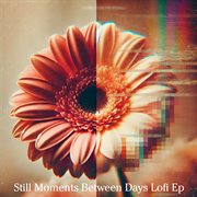 Still Moments Beetween Days Lofi Ep cover image cdn