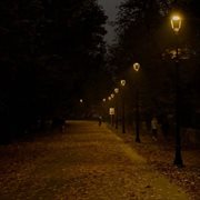 Night Fall cover image cdn