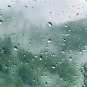 Guitary cover image cdn