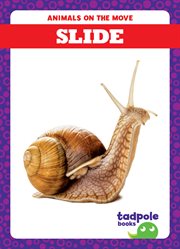 Slide cover image cdn