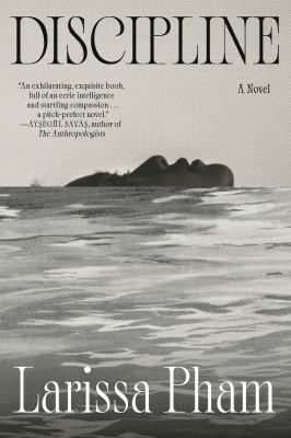 Discipline : a novel  cover image cdn
