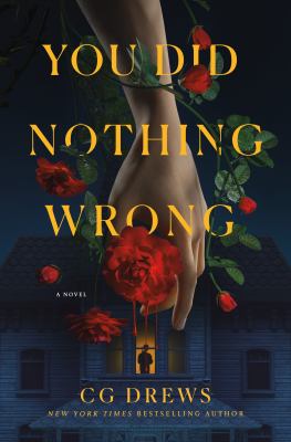 You Did Nothing Wrong cover image cdn