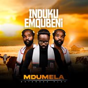 Induku Emqubeni cover image cdn
