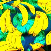 Bananas cover image cdn