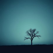 In Between Us cover image cdn