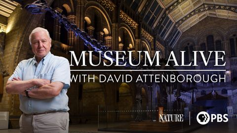 Museum Alive with David Attenborough cover image cdn