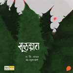 Soolkata cover image cdn