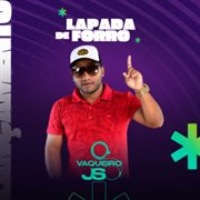 Lapada De Forró cover image cdn