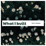 What I Built cover image cdn