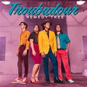 Troubadour cover image cdn