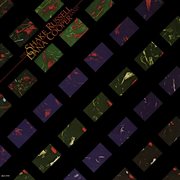 The Shake Russell - Dana Cooper Band cover image cdn